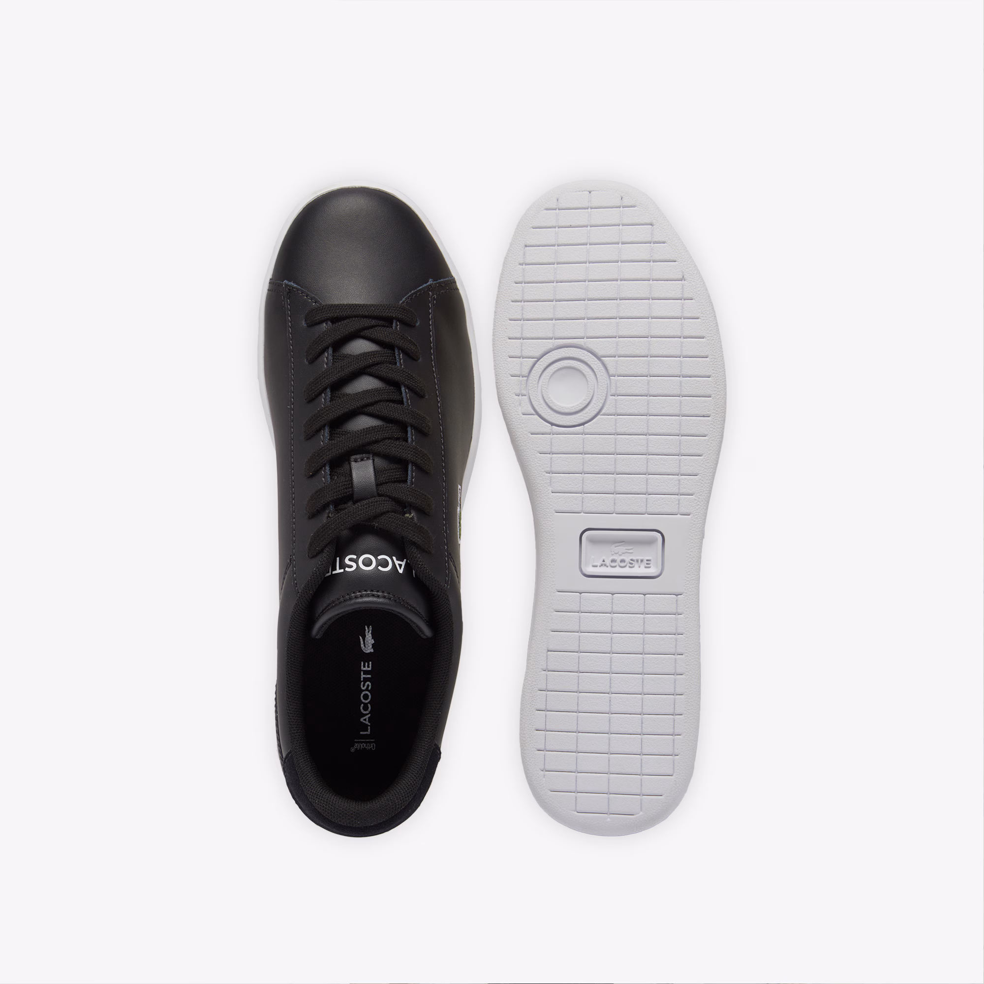 Espadrilles urbaines en cuir Carnaby Set – LACOSTE