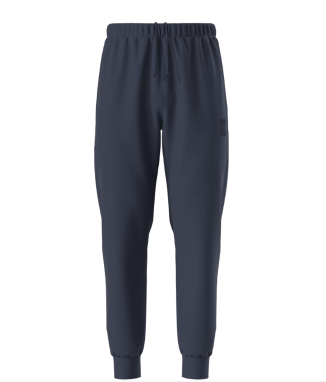 Jogger Evolution Half Dome – THE NORTH FACE
