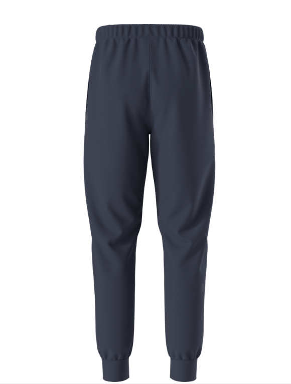Jogger Evolution Half Dome – THE NORTH FACE