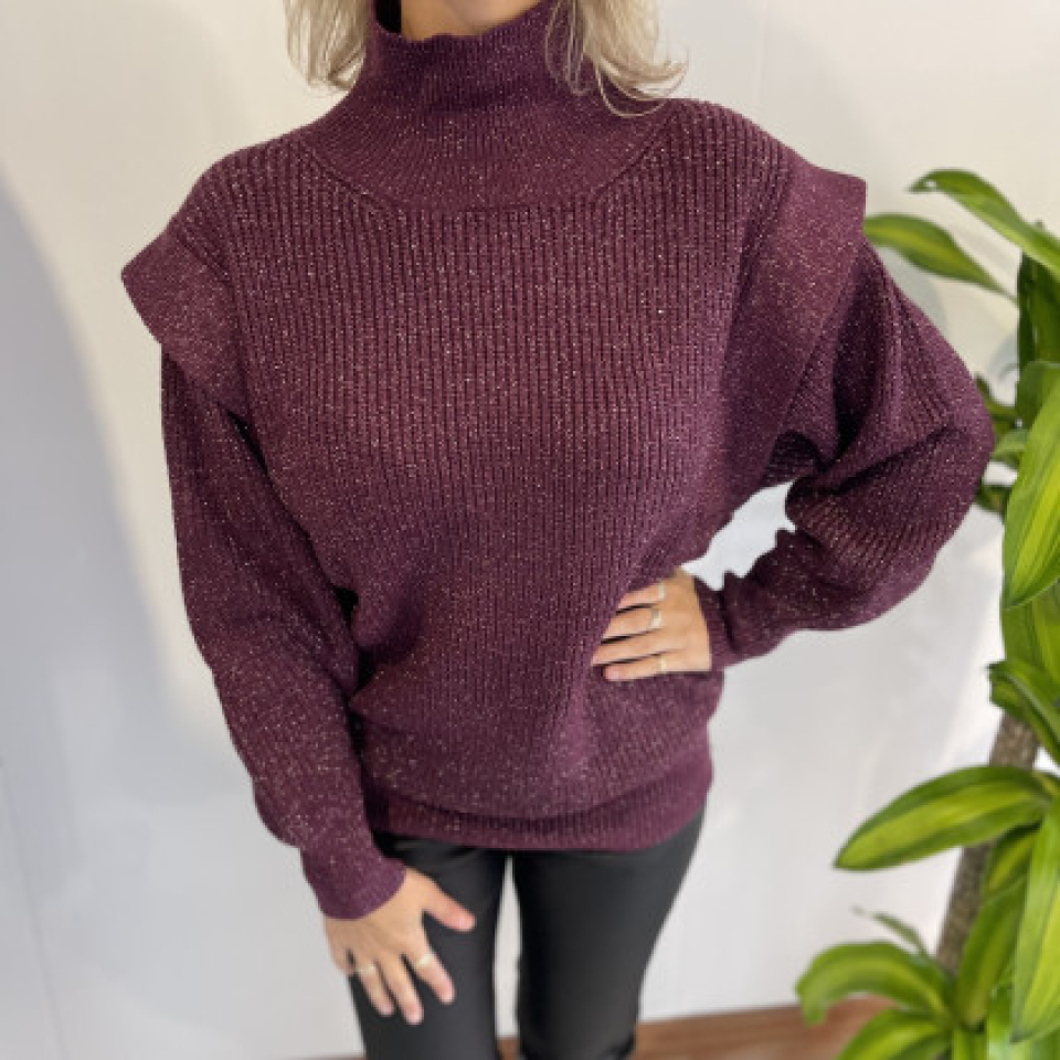 Chandail brillant prune - MOLLY BRACKEN - la865an - Molly Bracken