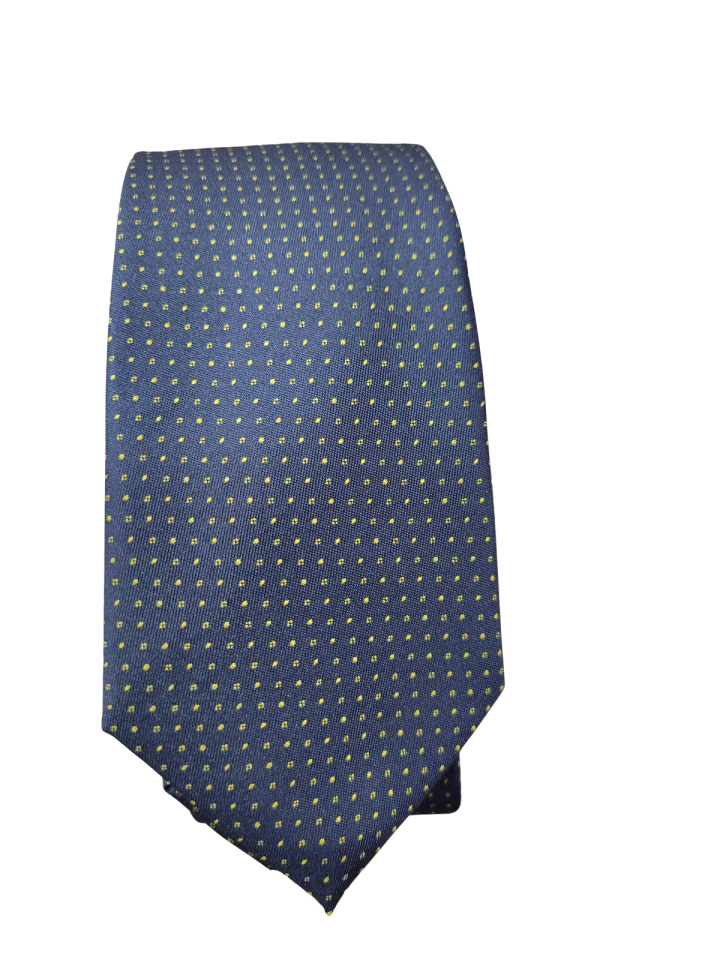 Cravate bleue à points - - 