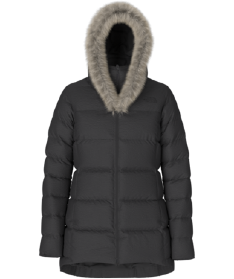 Manteau Dreamer Parkina - THE NORTH FACE 