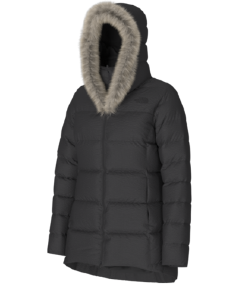 Manteau Dreamer Parkina - THE NORTH FACE 