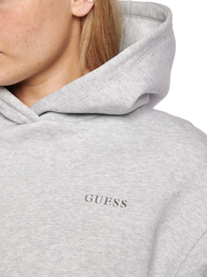 Hoodie Eco Nat – GUESS